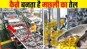 How Fish Oil Is Extracted