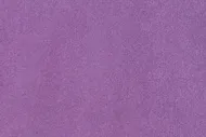 Omega 20
