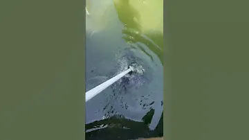 9 year old auto inflate life jacket test. They still work;, however, they are way past expiration.