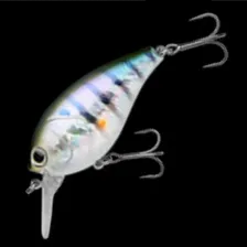 SHOT OMEGA BIG 62 [Brand New]