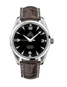 Часы Omega Aqua Terra Railmaster Co-Axial Chronometer 2503.52.00 88