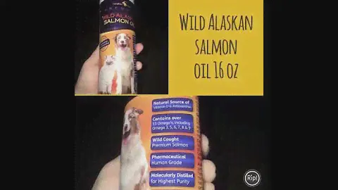 Wild Alaskan salmon oil