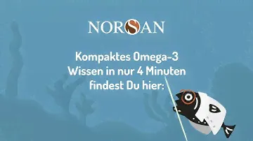 Omega-3 verständlich erklärt – warum für NORSAN entscheiden? Teaser